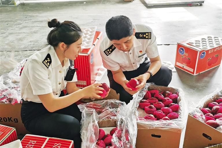 蘋果出口報關(guān)全攻略:避開這些雷區(qū)讓你輕松通關(guān)